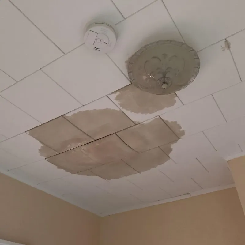 Ceiling Water Damage Repair in Richland County, OH