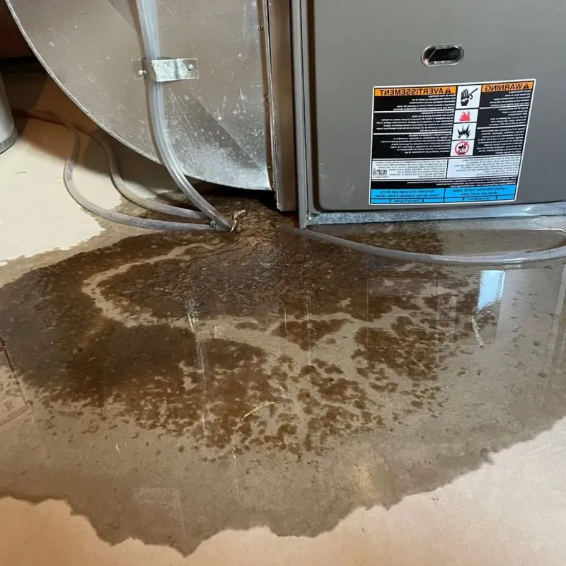 Pipe Burst and Leak Restoration in Richland County, OH