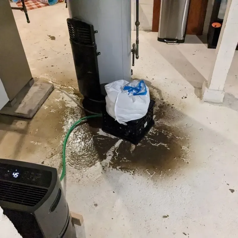 Sewage Backup Cleanup Service in Richland County, OH